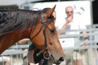 /album/fotogaleria/dsc-1757-jpg/