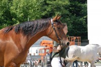 /album/fotogaleria/dsc-1768-jpg/