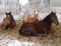 /album/fotogaleria/p1047545-jpg/