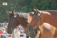 /album/fotogaleria/trencin2007-jpg19-jpg/